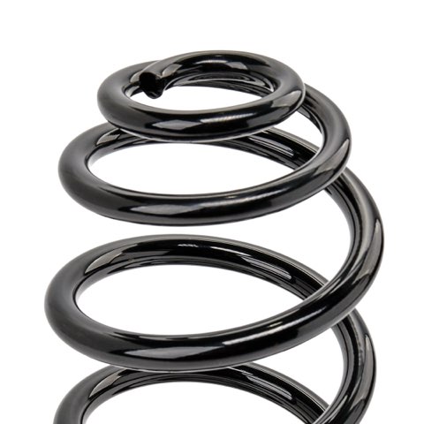 Ridex 188C0408 Coil Spring, photo 3