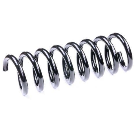 Ridex 188C0409 Coil Spring