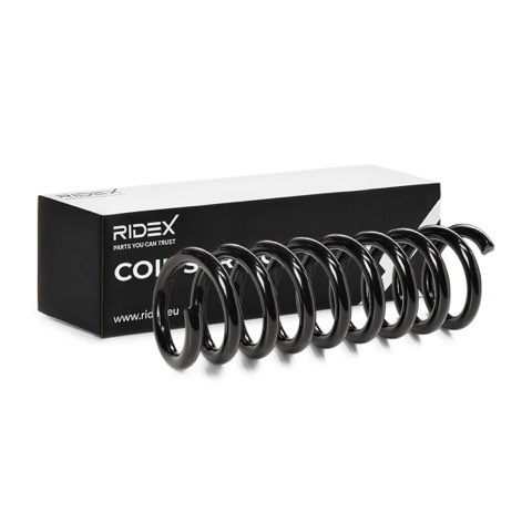 Ridex 188C0409 Coil Spring, photo 2