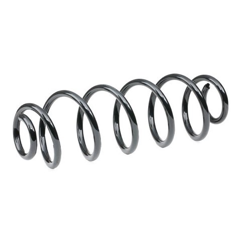 Ridex 188C0414 Coil Spring, photo 3