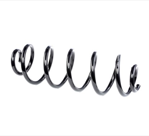 Ridex 188C0416 Coil Spring
