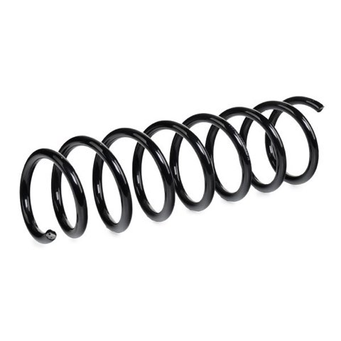 Ridex 188C0417 Coil Spring, photo 3
