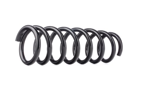 Ridex 188C0421 Coil Spring