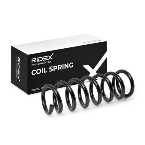 Ridex 188C0421 Coil Spring, photo 2