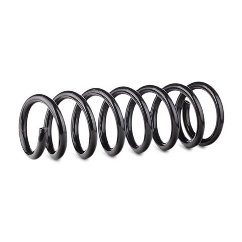 Ridex 188C0421 Coil Spring, photo 3