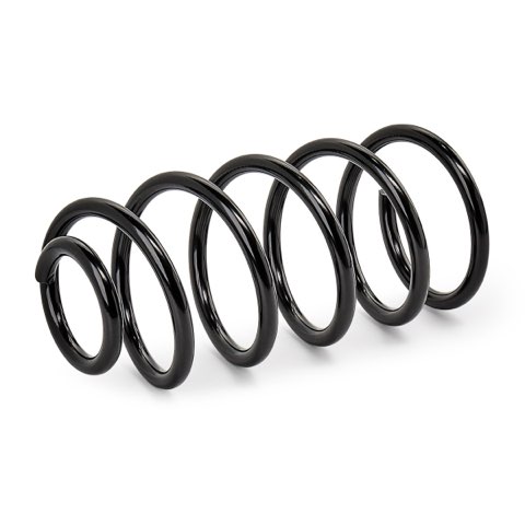 Ridex 188C0422 Coil Spring, photo 2