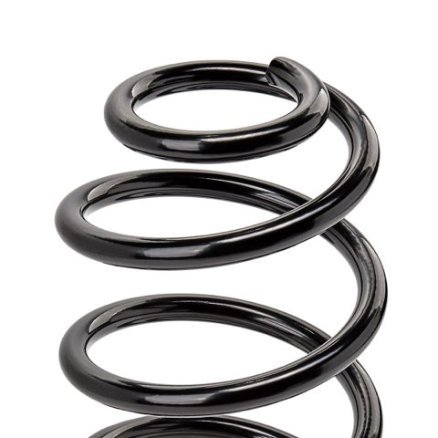 Ridex 188C0422 Coil Spring, photo 3