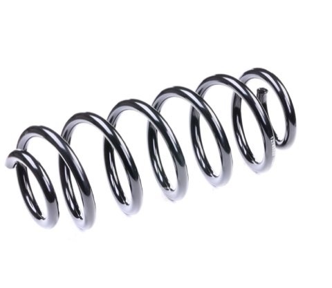 Ridex 188C0424 Coil Spring