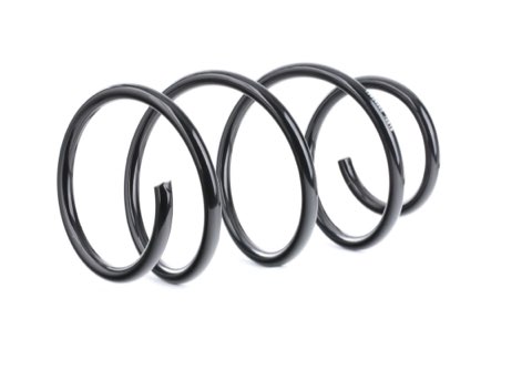Ridex 188C0425 Coil Spring