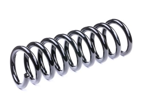 Ridex 188C0438 Coil Spring