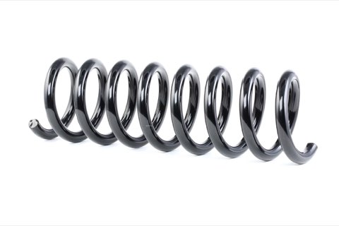 Ridex 188C0441 Coil Spring