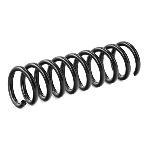 Ridex 188C0442 Coil Spring, photo 2