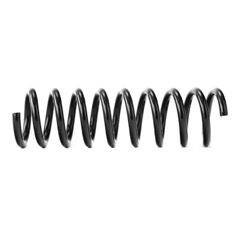 Ridex 188C0442 Coil Spring, photo 3