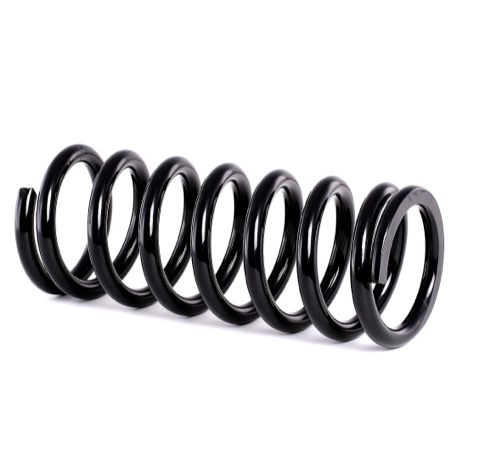 Ridex 188C0449 Coil Spring