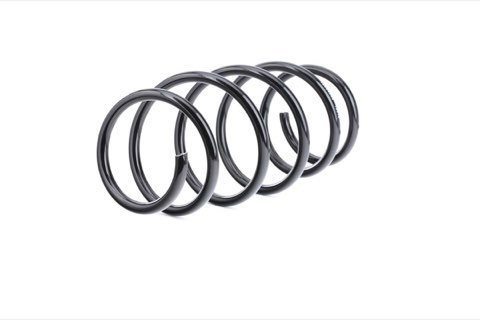 Ridex 188C0460 Coil Spring