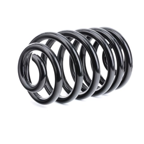 Ridex 188C0471 Coil Spring