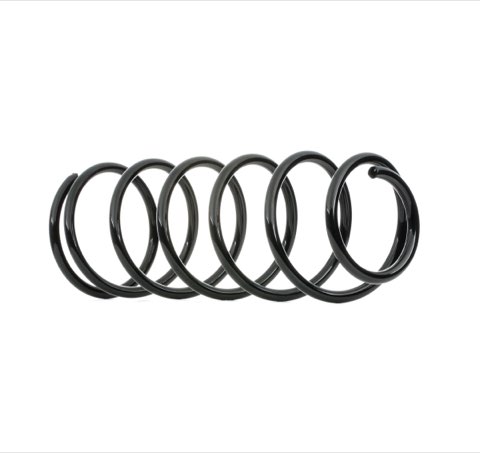 Ridex 188C0473 Coil Spring