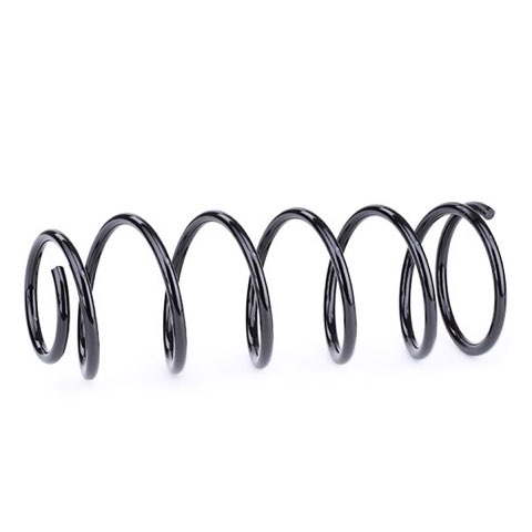 Ridex 188C0473 Coil Spring, photo 3