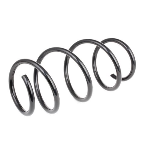 Ridex 188C0483 Coil Spring, photo 2