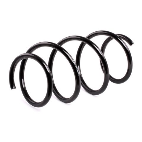 Ridex 188C0483 Coil Spring, photo 3