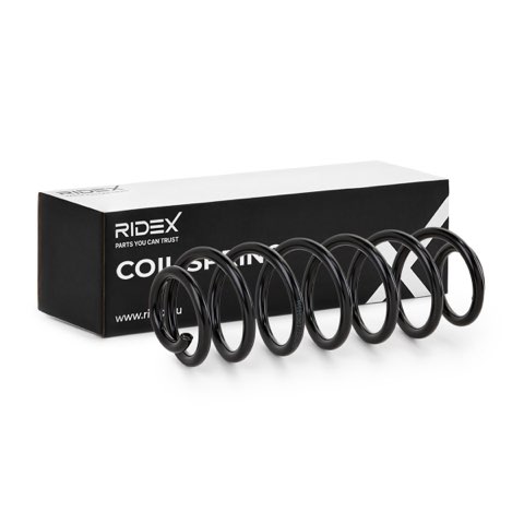 Ridex 188C0497 Coil Spring, photo 2
