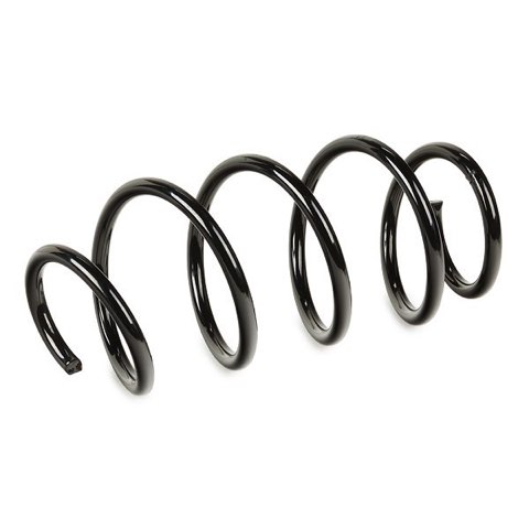 Ridex 188C0503 Coil Spring, photo 3