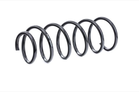 Ridex 188C0504 Coil Spring