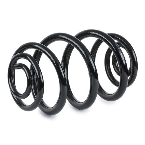 Ridex 188C0509 Coil Spring, photo 3