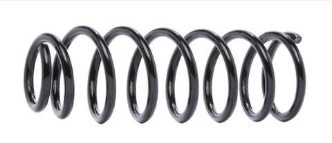 Ridex 188C0519 Coil Spring