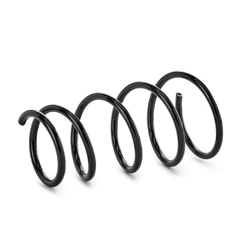 Ridex 188C0520 Coil Spring, photo 2