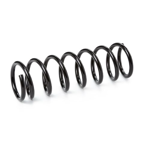 Ridex 188C0527 Coil Spring, photo 2