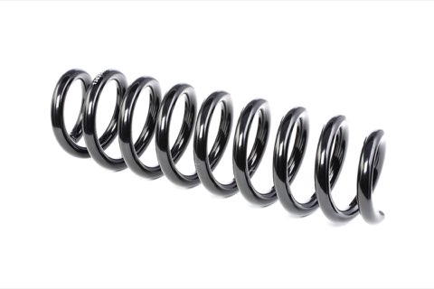 Ridex 188C0529 Coil Spring