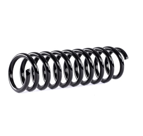 Ridex 188C0542 Coil Spring