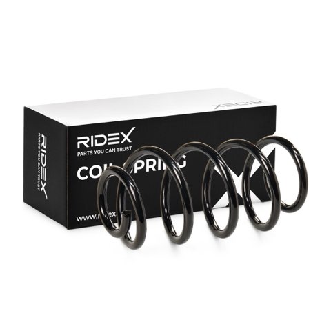 Ridex 188C0547 Coil Spring, photo 2