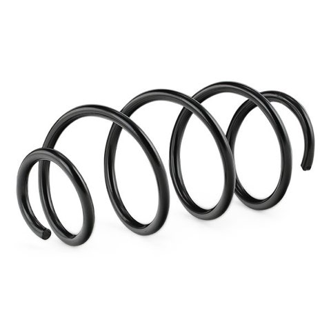 Ridex 188C0549 Coil Spring, photo 3