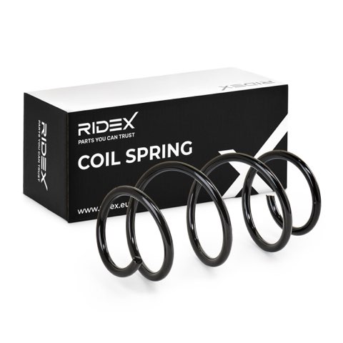 Ridex 188C0553 Coil Spring, photo 2