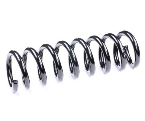 Ridex 188C0554 Coil Spring