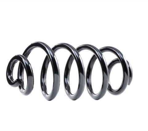 Ridex 188C0557 Coil Spring