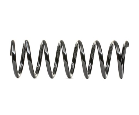 Ridex 188C0562 Coil Spring