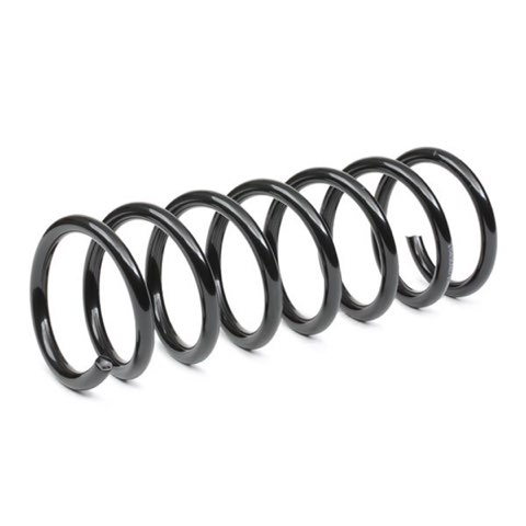 Ridex 188C0562 Coil Spring, photo 3