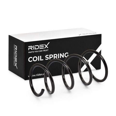 Ridex 188C0566 Coil Spring, photo 2
