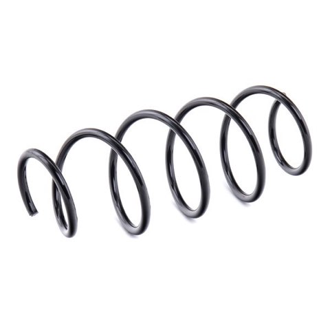 Ridex 188C0567 Coil Spring, photo 3