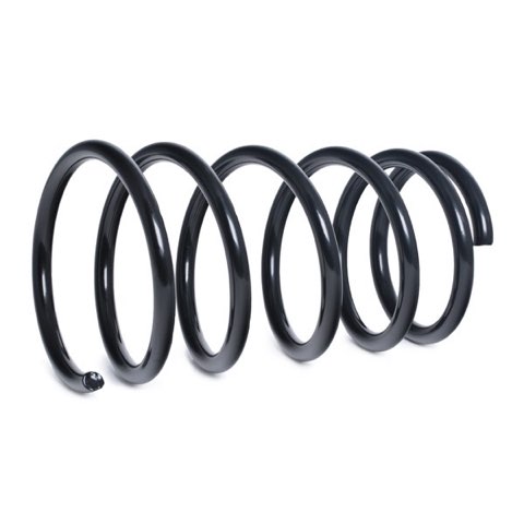 Ridex 188C0579 Coil Spring, photo 3