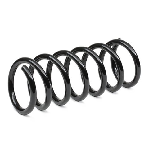 Ridex 188C0583 Coil Spring, photo 3