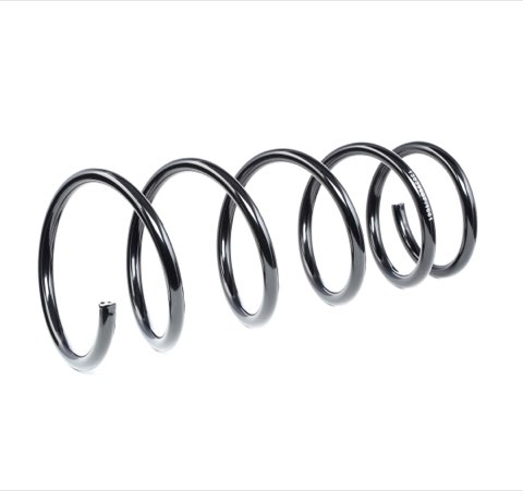 Ridex 188C0585 Coil Spring