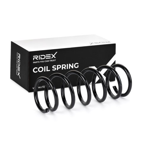 Ridex 188C0588 Coil Spring, photo 2