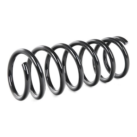 Ridex 188C0588 Coil Spring, photo 3