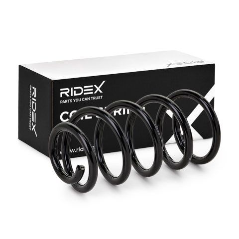 Ridex 188C0592 Coil Spring, photo 2