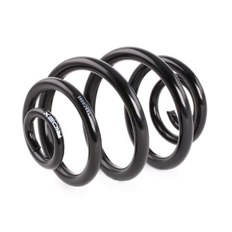 Ridex 188C0595 Coil Spring, photo 3