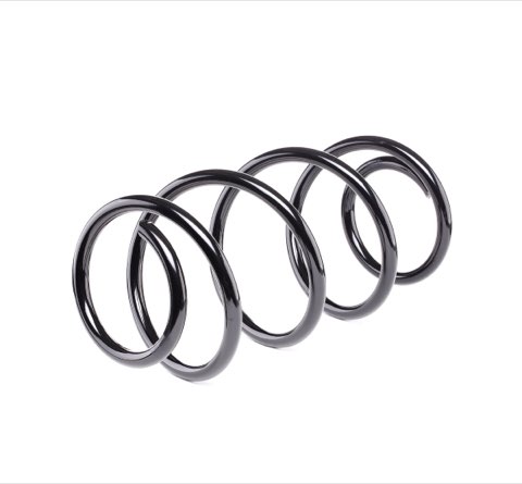 Ridex 188C0600 Coil Spring